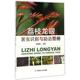 正版 中国农业出版 书 陈炳旭 社 荔枝龙眼害虫识别与防治图册