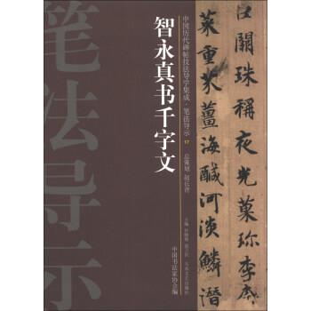 【正版书】 中国历代碑帖技法导学集成·笔法导示：智永真书千字文 许晓俊,袁卫民,中国书法家协会 编 大众文艺出版社