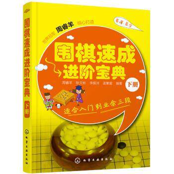 【正版书】 围棋速成进阶宝典·下册 周睿羊,耿文彬,李振沣,孟繁星 著 化学工业出版社
