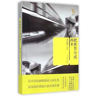 【正版】把世界分成两半 朱山坡