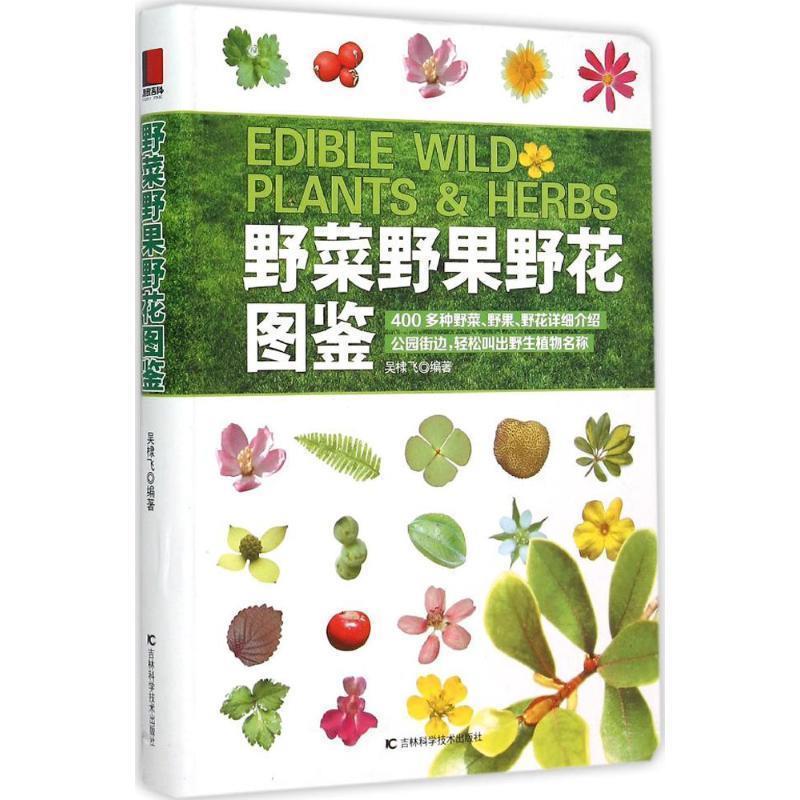 【正版书】 野菜野果野花图鉴 吴棣飞 吉林科学技术出版社