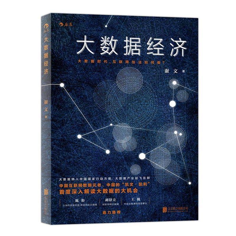 【正版】大数据经济 大数据时代互联网加法如何做？