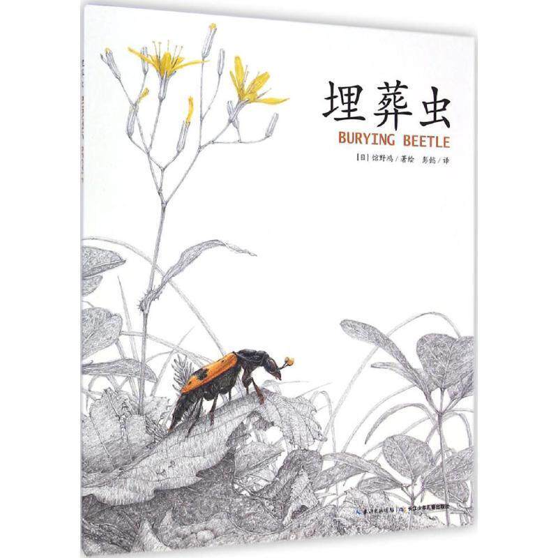 【正版书】 埋葬虫 (日)馆野鸿 著绘,彭懿 译 长江少年儿童出版社有限公司