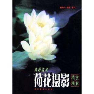 【正版书】 荷塘清风：荷花摄影精赏精解 姚和兴 著 浙江摄影出版社