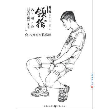 【正版书】 领绘—大动态 王靖宇 著 重庆出版社,重庆出版集团