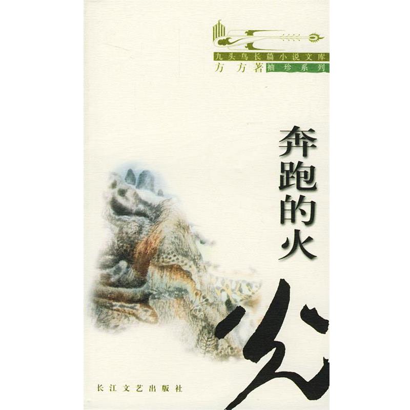 【正版】奔跑的火光 方方