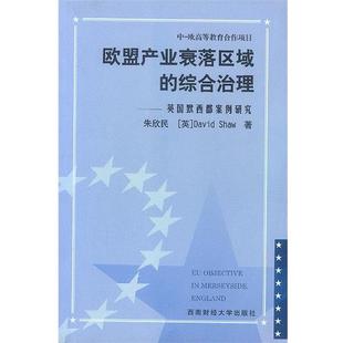 综合治理 欧盟产业衰落区域 英默西郡案例研究 朱欣民 Dav 英 正版