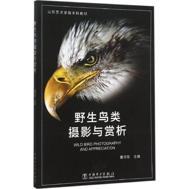 【正版书】 野生鸟类摄影与赏析 董河东 主编 中国电力出版社