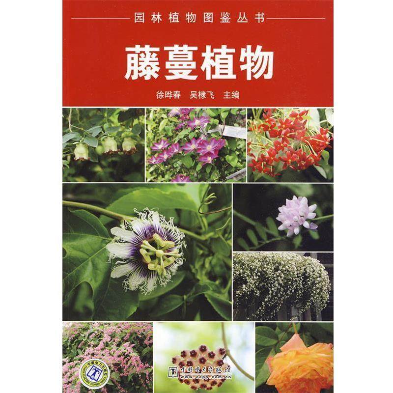 【正版】园林植物图鉴丛书-藤蔓植物 徐晔春，吴棣飞　,数字阅读,建筑/水利（新）,淘宝优惠券,粉丝福利购,淘宝优惠卷