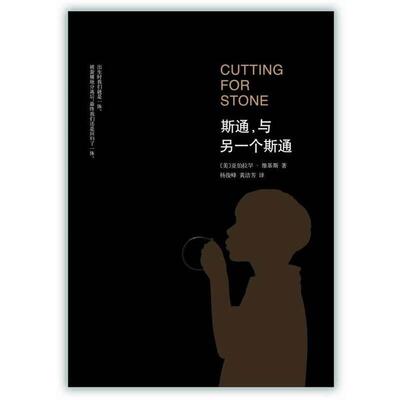 【正版书】 斯通，与另一个斯通 [美] 亚伯拉罕.维基斯 南海出版公司出版社