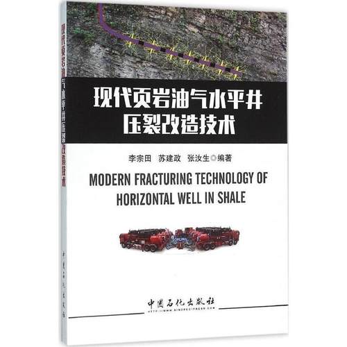 【正版】现代页岩油气水平井压裂改造技术 李宗田、苏建政、张汝