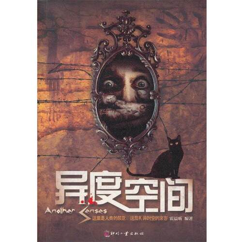 【正版书】 异度空间 霍晨昕 文化发展出版社