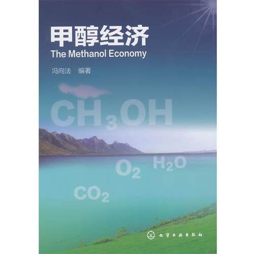 【正版】甲醇经济 冯向法