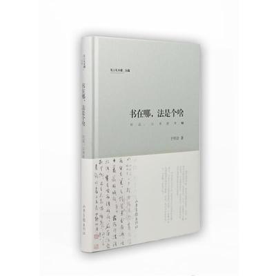 【正版】见山见水楼丛稿 书在哪法是个啥（对话 以书法为轴） 于明诠