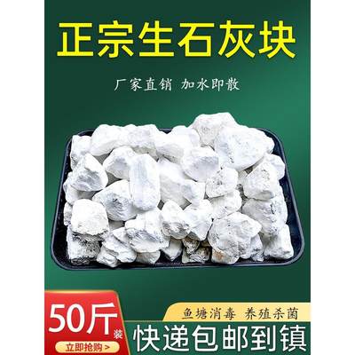 生石灰块粉50斤鱼塘消毒养殖杀菌净水剂氧化钙农业土壤消毒干燥剂