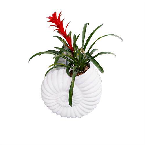 玻璃钢创意花盆海螺造型组合花钵户外园林种植池酒店落地组合花盆