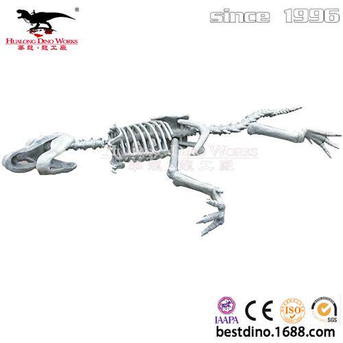蛇年大型仿真霸王龙化石骨架恐龙模型摆件电影道具制作美陈.