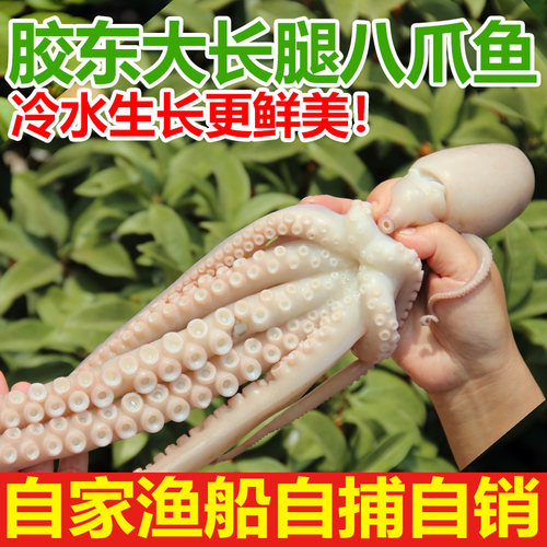 鲜活超大4斤网红八抓鱼海鲜水产