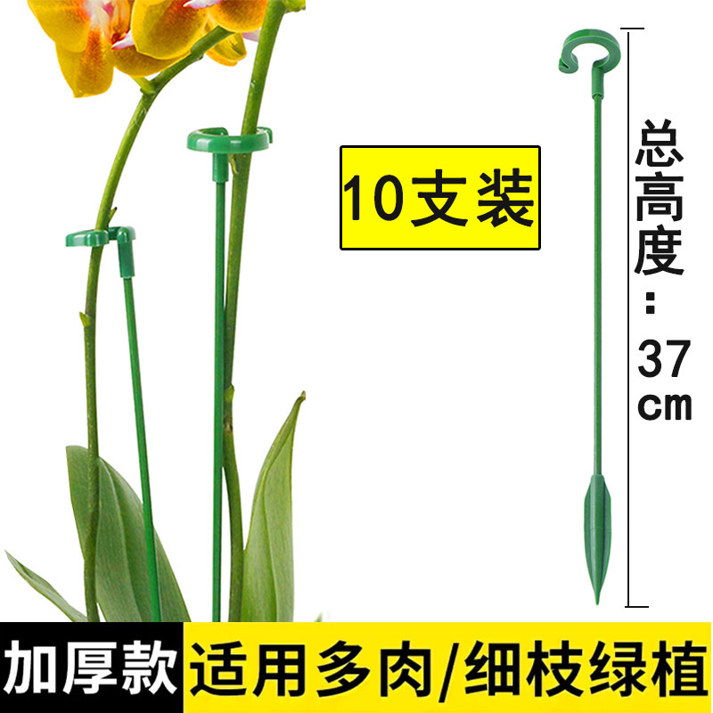 朱顶红花架植物防倒伏支架铁艺