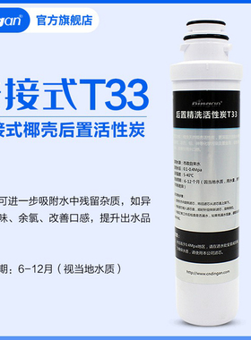 鼎安活性炭新款净水器通用快接T33置炭滤芯2005O10085E50095070