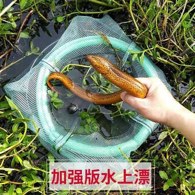 升级版 黄鳝捕鳝笼 泥鳅黄鳝笼子捉鳝鱼笼抓鳝鱼网捕鳝地网鱼笼