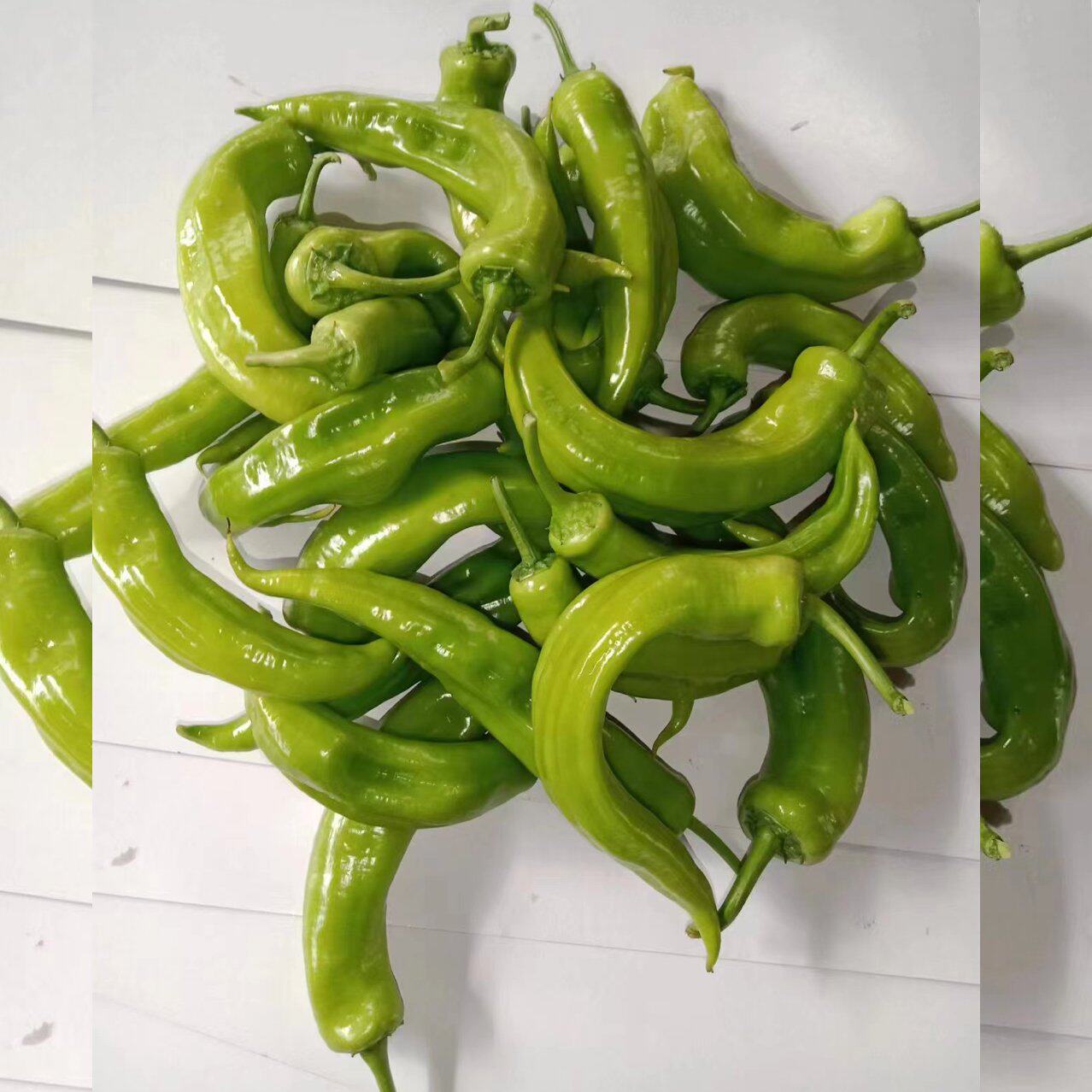绿色小尖椒量大联系客服山东发货村头直发绿辣椒尖椒大辣椒原生态