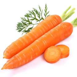 新鲜胡萝卜水果红萝卜农家带泥山东寿光脆甜生吃原生态无筋渣直发