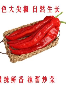 新鲜红辣椒大红长尖椒微辣鲜香肉厚红色现摘现发产地直发山东潍坊