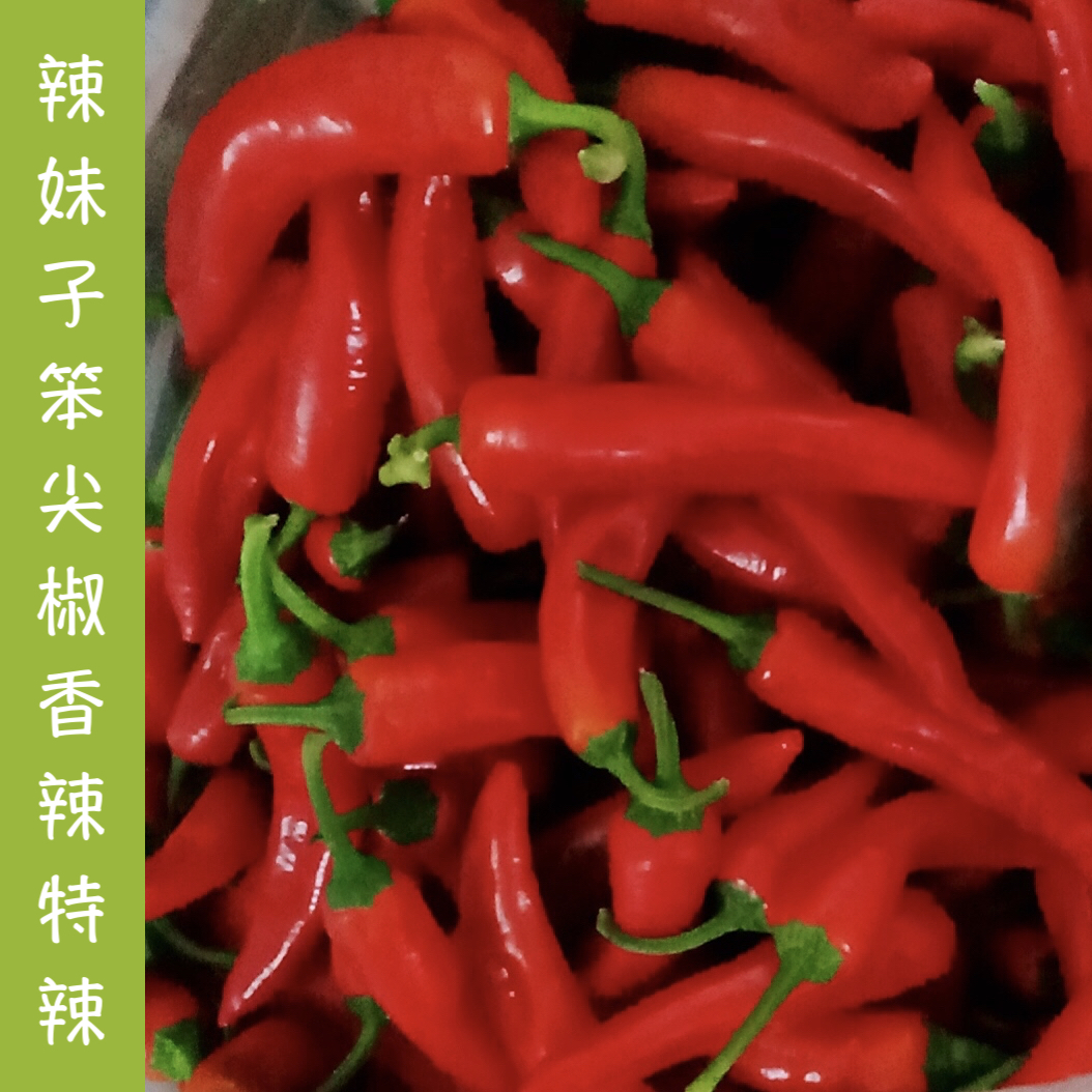新鲜红辣椒特辣笨尖椒辣妹子现摘