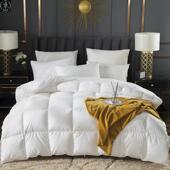 Down Warm Duvet Season Bedding Quilt All Comforter Blanket