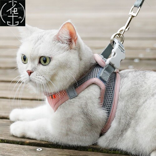 Breathable Cat Harness Leash Escape Proof Pet Clothes vest