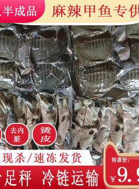 生鲜甲鱼冷冻水产甲鱼生鲜食用