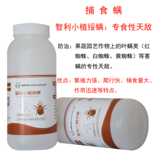 捕食螨 智利小植绥螨 生物防治果蔬园艺除叶螨红蜘蛛克星天敌防控