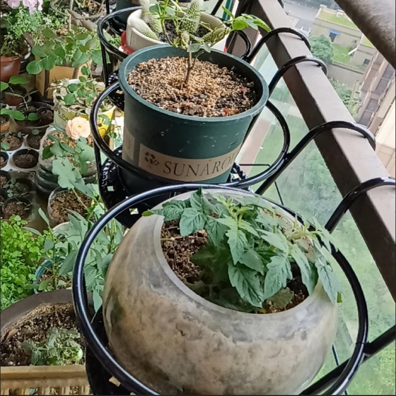 北欧室内铁艺花架栏杆客厅阳台落地式简约绿萝花盆挂架悬挂多层