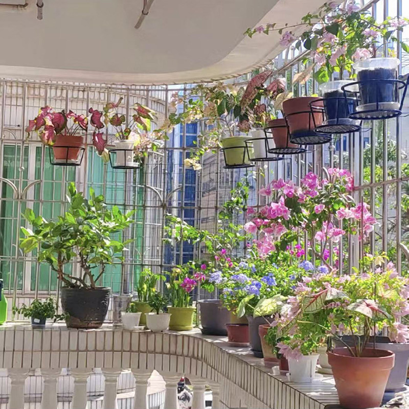 栏杆置物铁架多肉盆栽壁挂架种菜养花阳台花盆圆形花架挂露台,收纳整理,阳台置物架,淘宝优惠券,粉丝福利购,淘宝优惠卷