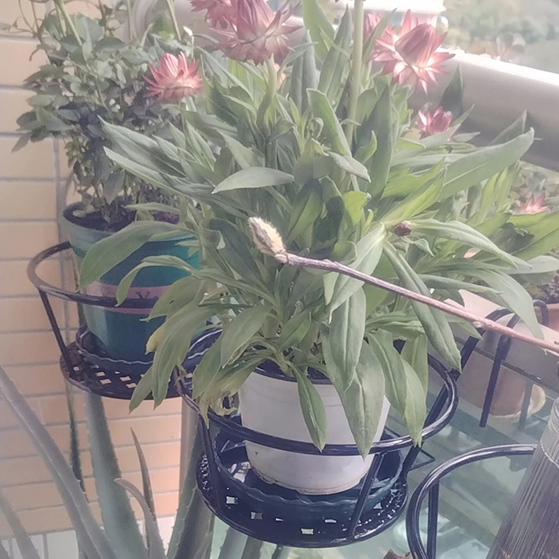 花架子室内家用客厅花盆架落地式置物架可折叠多层省空间绿萝架