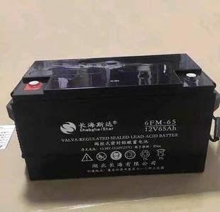 长海斯达铅酸免维护蓄电池12v65an