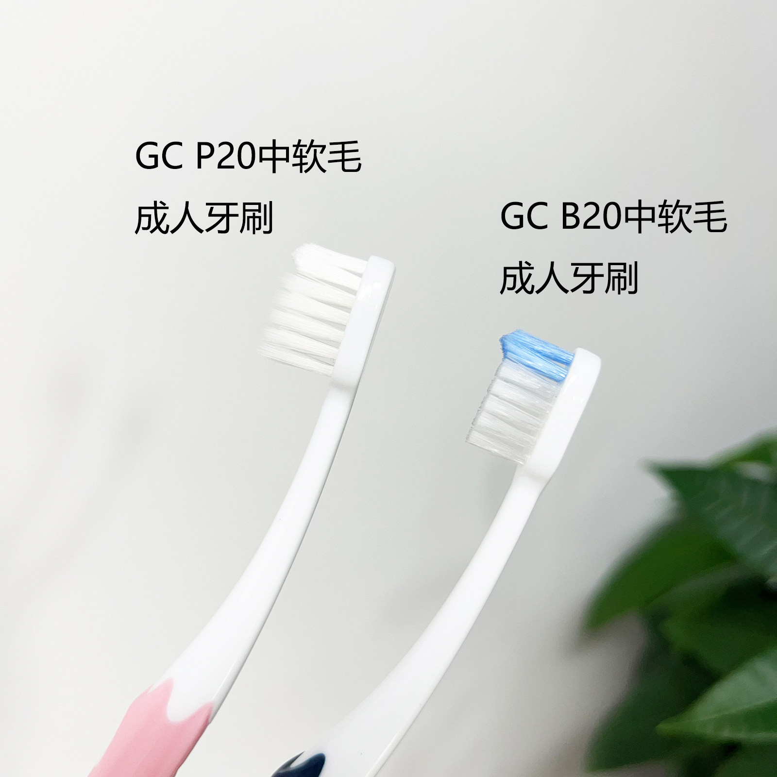 日本GCB20中毛牙刷成人女士软毛