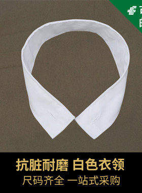 正品冬常服白领子衣领白衣领