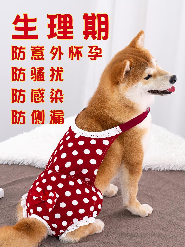 狗狗生理裤母狗女狗姨妈裤安全裤卫生裤柯基法斗比熊专用绝育神器