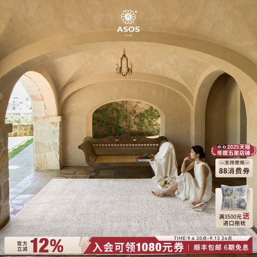 【全球颠覆性工艺新品】ASOS原装进口欧美复古高级简约客厅地毯