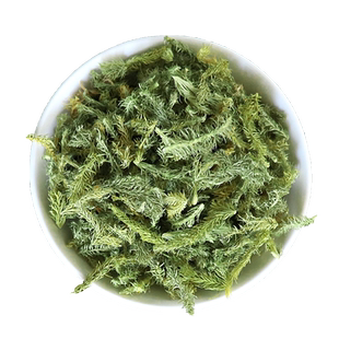 伸筋草马尾筋骨草舒筋草石松狮子草500g搭透骨草非中药材