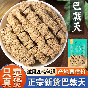 巴戟天500g正品搭配锁阳肉苁蓉片杜仲男性非中药材