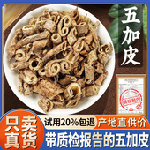 五加皮500g 南五加皮正品 五谷皮干五加皮根片根皮非中药材野生