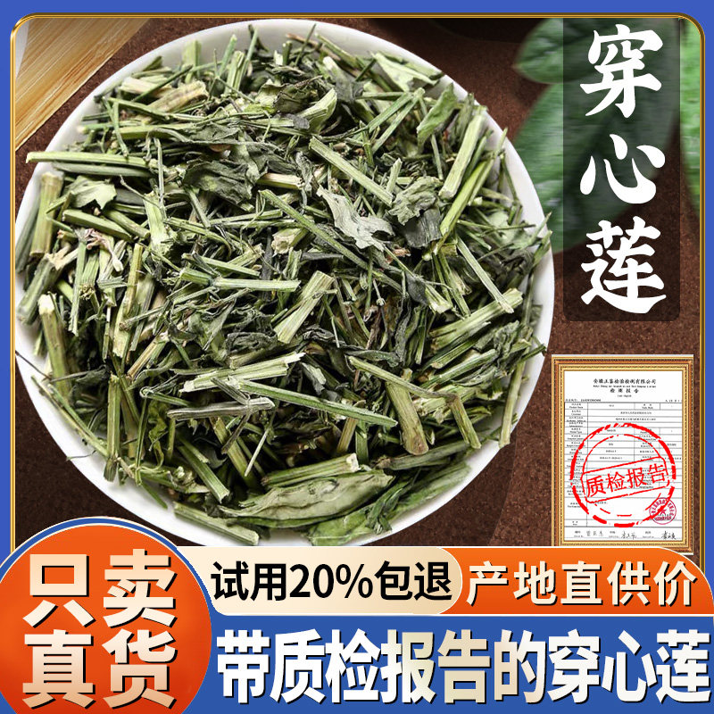中药材 正品 穿心莲一见喜/苦胆草/金香草/苦草 500g克