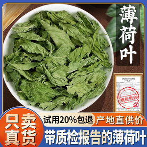 【试用20%包退】薄荷叶500克