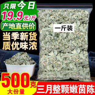 茵陈500g茵陈蒿茶三月绵茵陈泡水白蒿草药新鲜整棵非中药材野生