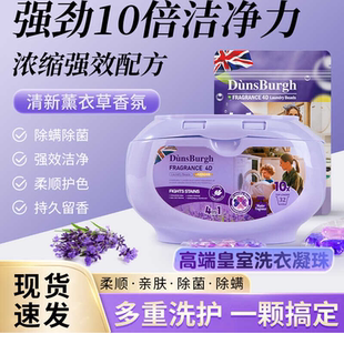 敦仕堡薰衣草除螨洗衣液凝珠多效香氛四合一10倍洁净抑菌护色家用