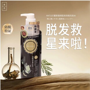 侧柏叶生姜植萃清爽控油强韧发根防脱固发防断育发洗发水男女适用