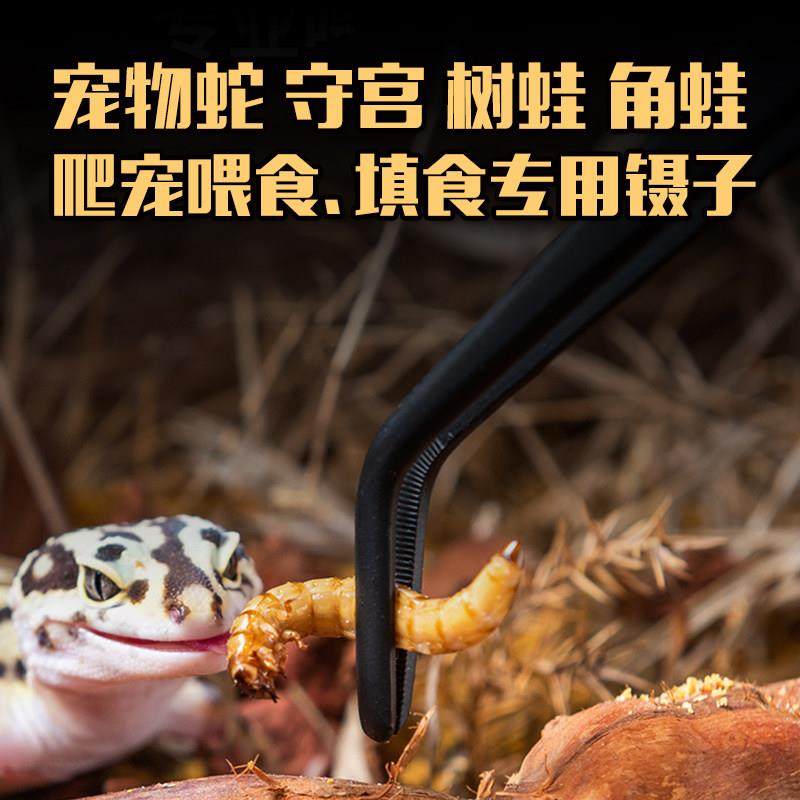不锈钢镊子宠物蛇喂食填食爬宠鳄乌龟变色龙守宫蟋蟀弯头直头镊子,宠物/宠物食品及用品,爬宠缸/箱,淘宝优惠券,粉丝福利购,淘宝优惠卷